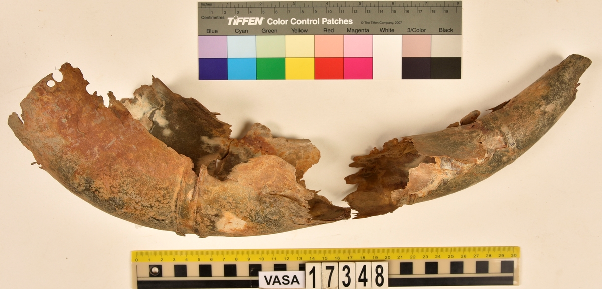 1st kohorn splittrat och brutet i två delar.
Hornet har märken efter tre stycken band/beslag som suttit runt hornet samt ett hål i kanten vid hornets mynning.