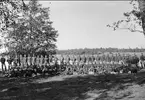 Gruppfoto, komp. Från ing 2, år 1900 i Gullspång.