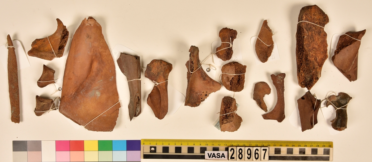 Ben från djur.
Blandade djurben av däggdjur - flera arter. 161 ben eller fragment av ben. Benen är ej art- eller benslagsbedömda.