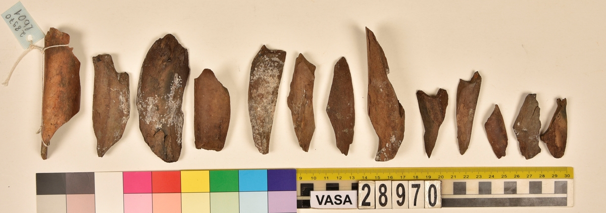 Ben från djur.
Blandade djurben av däggdjur - flera arter. Ca. 225 st. ben eller fragment av ben. Benen är ej art- eller benslagsbedömda.