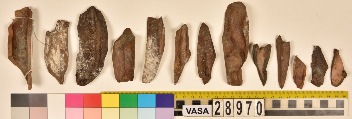 Ben från djur.
Blandade djurben av däggdjur - flera arter. Ca. 225 st. ben eller fragment av ben. Benen är ej art- eller benslagsbedömda.