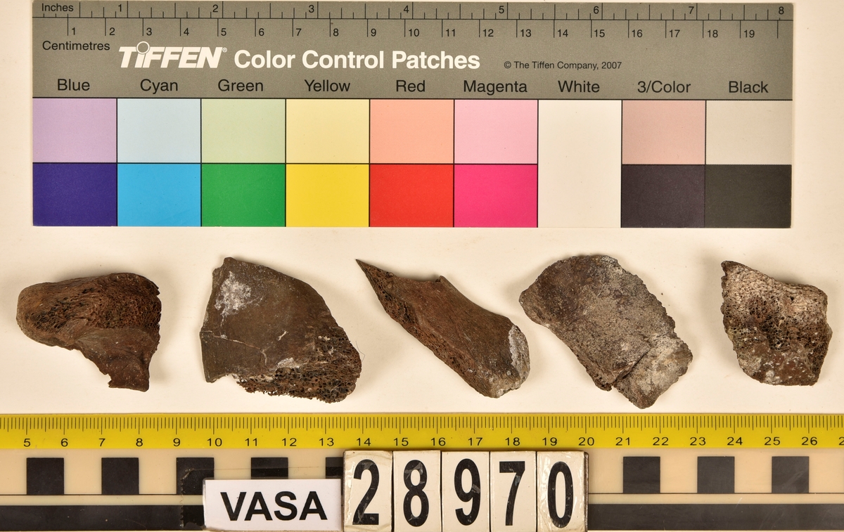 Ben från djur.
Blandade djurben av däggdjur - flera arter. Ca. 225 st. ben eller fragment av ben. Benen är ej art- eller benslagsbedömda.