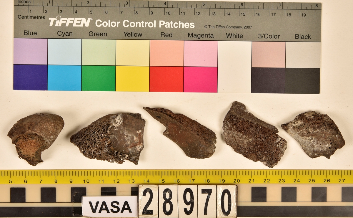 Ben från djur.
Blandade djurben av däggdjur - flera arter. Ca. 225 st. ben eller fragment av ben. Benen är ej art- eller benslagsbedömda.