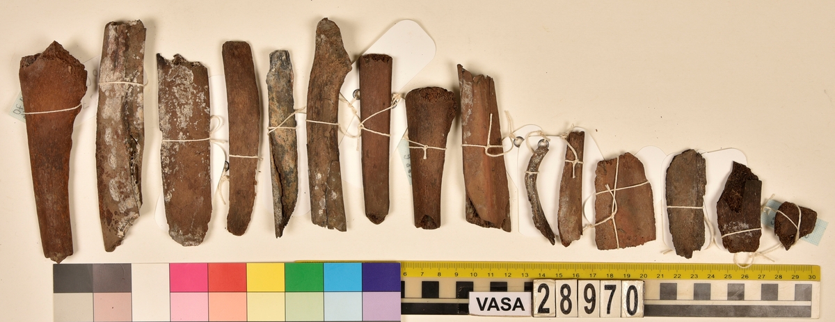 Ben från djur.
Blandade djurben av däggdjur - flera arter. Ca. 225 st. ben eller fragment av ben. Benen är ej art- eller benslagsbedömda.