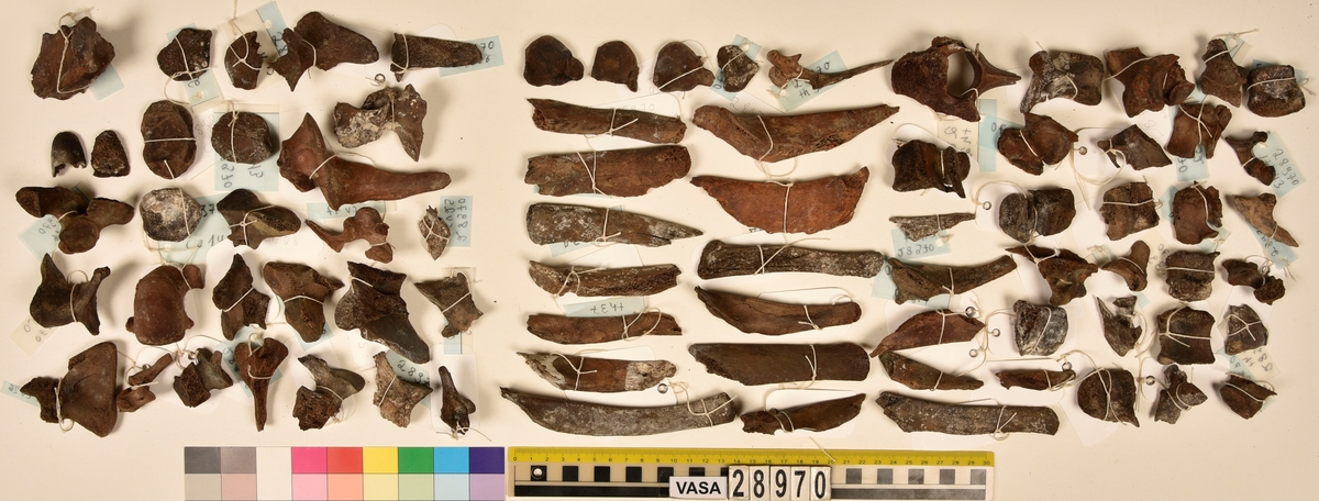 Ben från djur.
Blandade djurben av däggdjur - flera arter. Ca. 225 st. ben eller fragment av ben. Benen är ej art- eller benslagsbedömda.