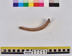 Djurben från maten ombord på skeppet Vasa