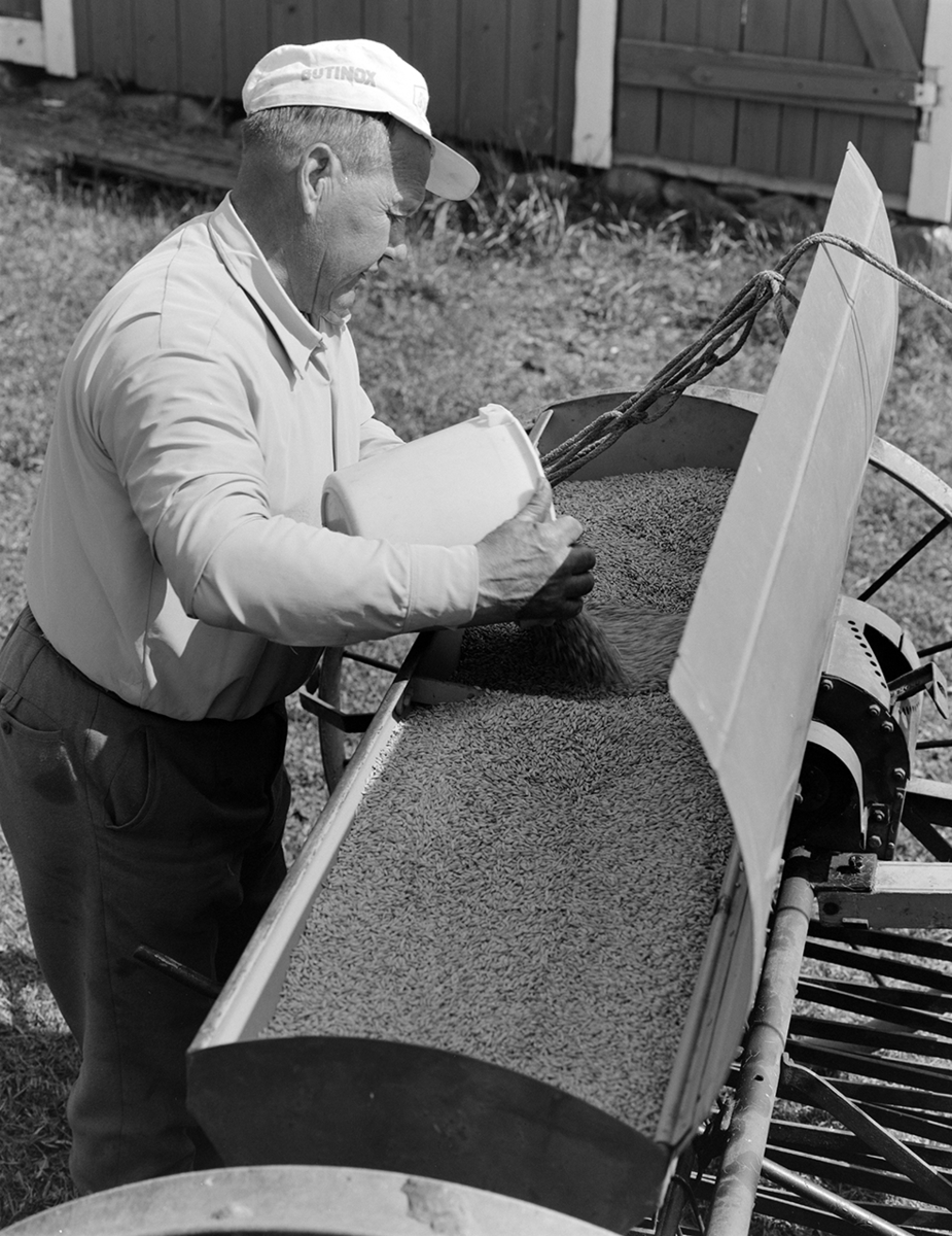 Våronn, Nordvold gard, Gnr.43, bnr.5, Løten. Gardbruker Paul Nordvold. Hest, hesteredskap, såmaskin,