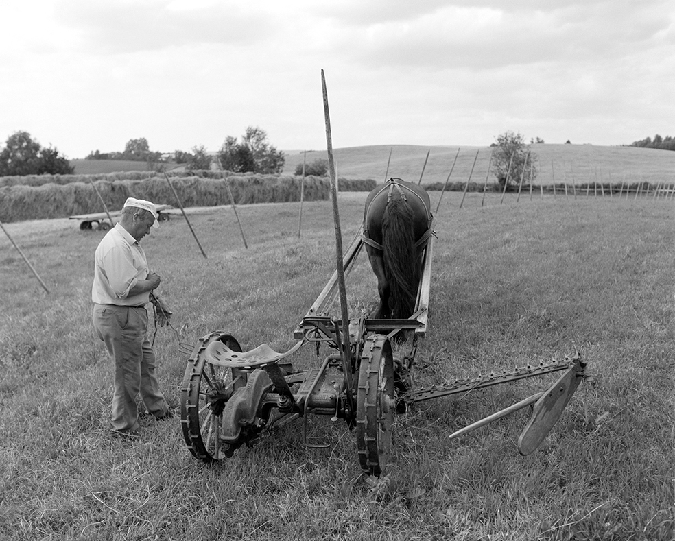 Slåttonn, Nordvold gard, Gnr.43, bnr.5, Løten. Gardbruker Paul Nordvold. Hest, hesteredskap,
