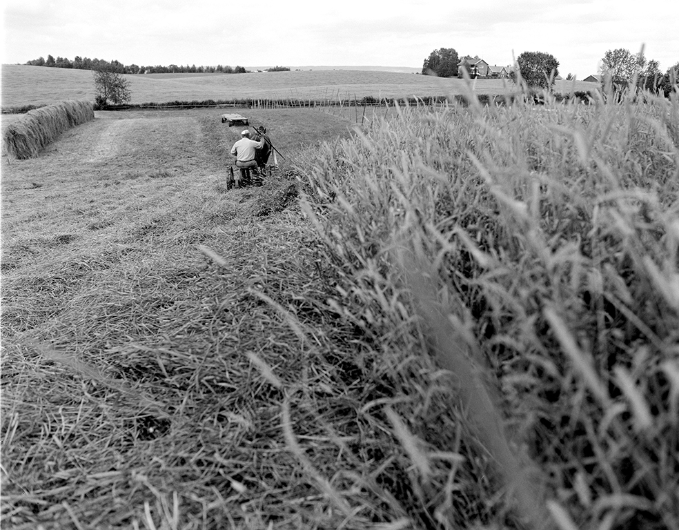 Slåttonn, Nordvold gard, Gnr.43, bnr.5, Løten. Gardbruker Paul Nordvold. Hest, hesteredskap,