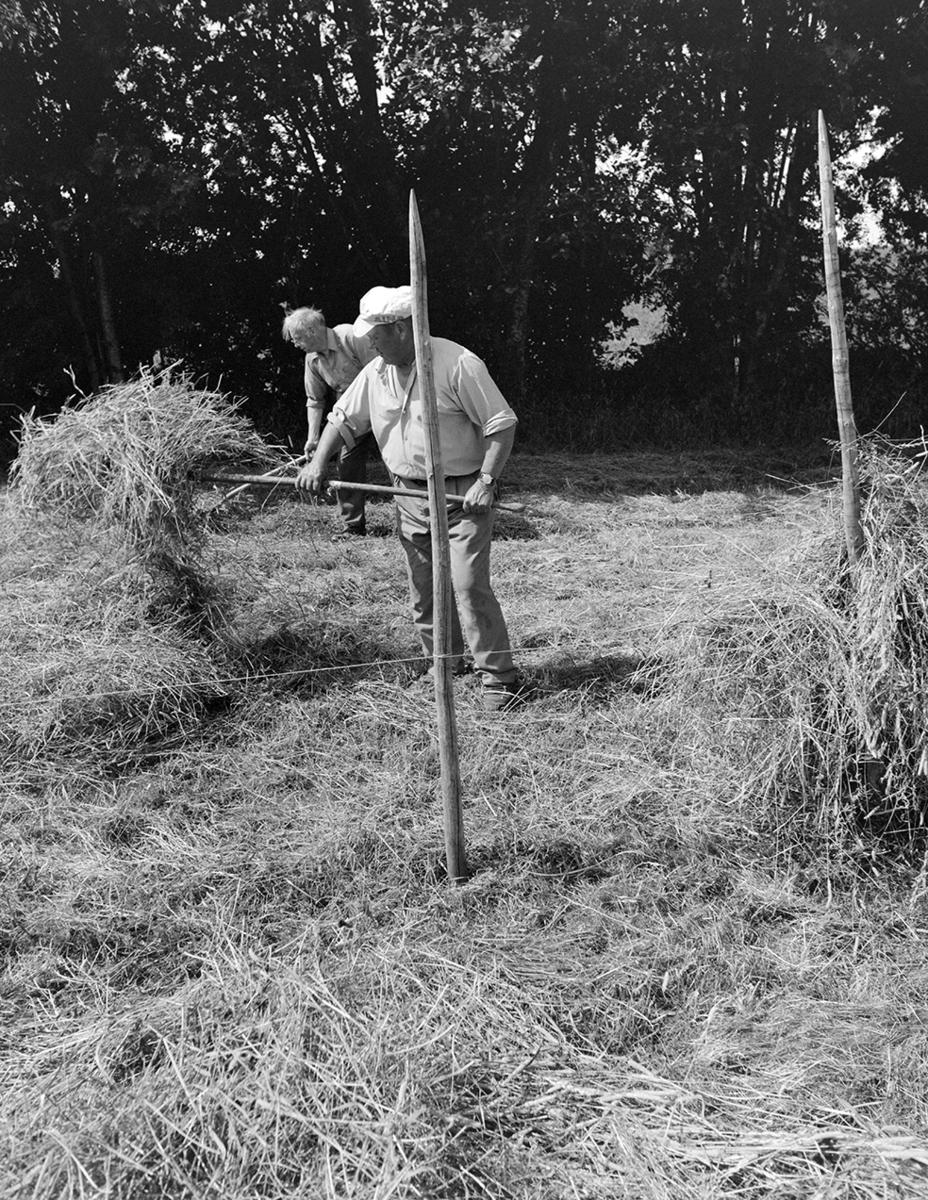 Slåttonn, Nordvold gard, Gnr.43, bnr.5, Løten. Gardbruker Paul Nordvold. Hest, hesteredskap,