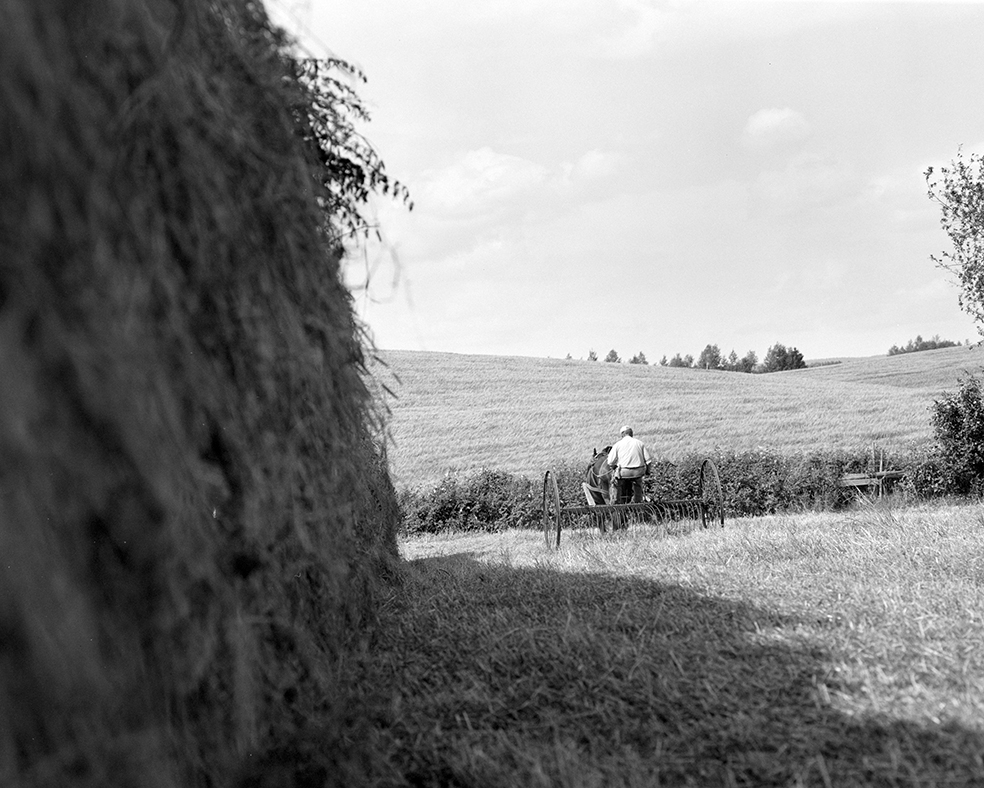 Slåttonn, Nordvold gard, Gnr.43, bnr.5, Løten. Gardbruker Paul Nordvold. Hest, hesteredskap, hjulrive,hesterive,hesje,