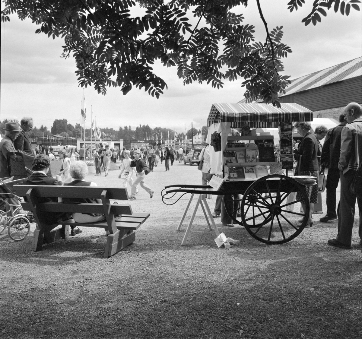 Norske Melkeprodusenters Landsforbund, NML 100 år 1881-1981.Jubileumsdager,utstilling,Domkirkeodden,Hamar.