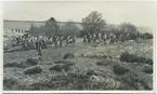 Flottister i stridsövning på skärgårdsö. Andra bilder i Bergers samling gör det sannolikt att bilden tagits 1929 under landstigningsövningen på Stabbo i Stockholms södra skärgård, i vilken officerare och manskap från pansarskeppen SVERIGE och DROTTNING VICTORIA deltog.