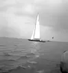 Seglingar. År 1936