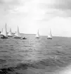 Seglingar. År 1936
