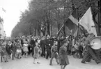 Studenter. Den 3 Juni 1941