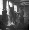 Slakthuset, Valbo. Oktober 1937