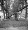 Resning av stolpar. Reportage för Gefle Dagblad. Den 1 oktober 1937