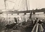 Wifstavarfs AB. Barlastkajen 9 september 1902.  Fotografiet fick 5:e pris i Svenska Turistföreningens Pristäflan (pristävling) 1902.