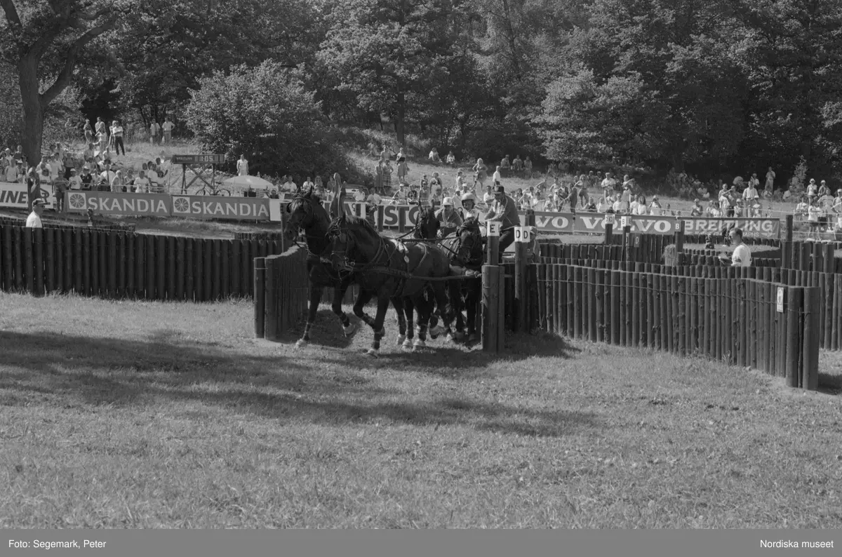 Ryttar VM på Djurgården i Stockholm.