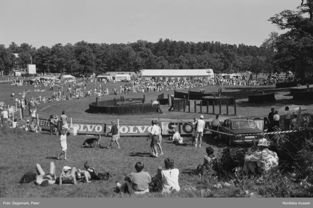 Ryttar VM på Djurgården i Stockholm.