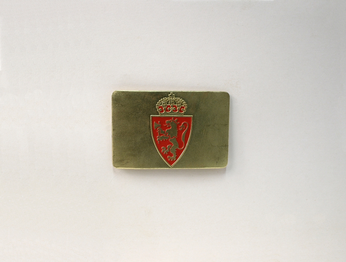 På baksiden fire stifter til å festes med. Riksvåpenet er en mellomting av riksvåpnene av 1905 og 1906, lik riksvåpenet på de andre typen polititegn modell 1944