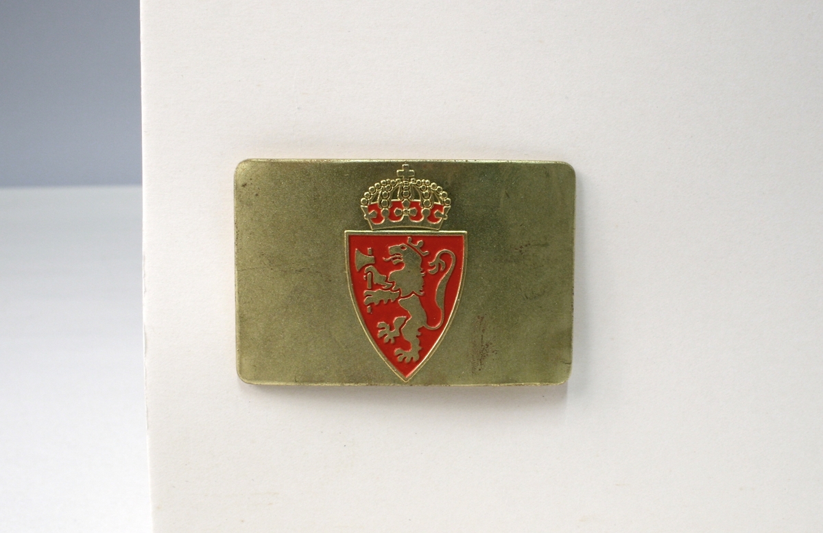 På baksiden fire stifter til å festes med. Riksvåpenet er en mellomting av riksvåpnene av 1905 og 1906, lik riksvåpenet på de andre typen polititegn modell 1944