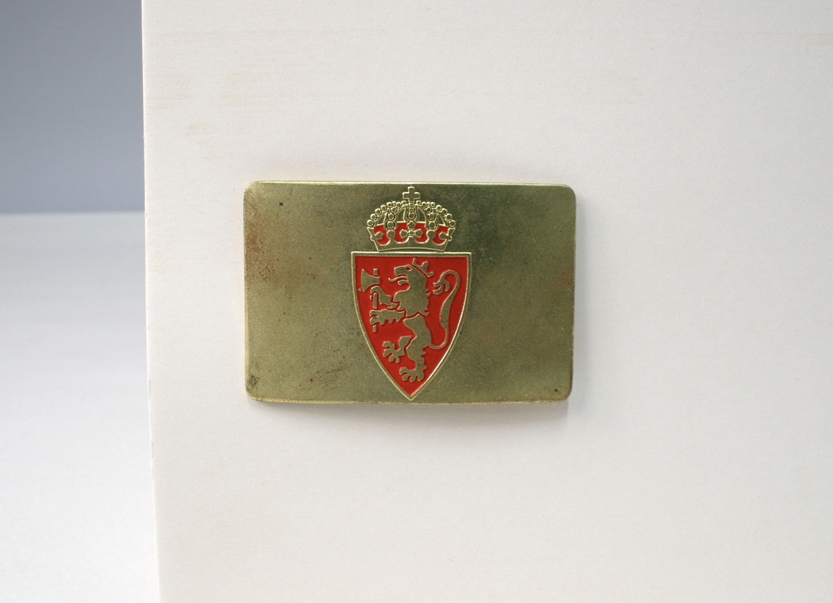 På baksiden fire stifter til å festes med. Riksvåpenet er en mellomting av riksvåpnene av 1905 og 1906, lik riksvåpenet på de andre typen polititegn modell 1944