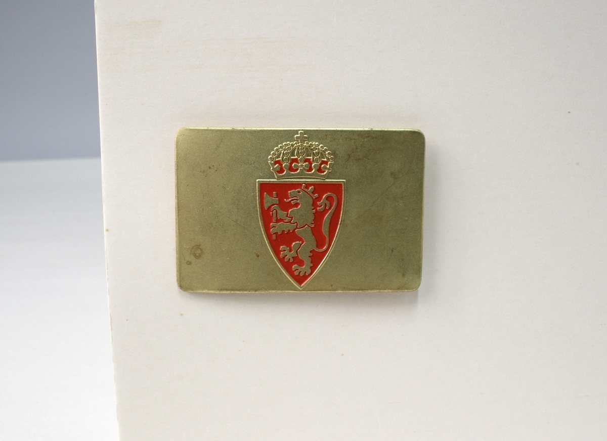 På baksiden fire stifter til å festes med. Riksvåpenet er en mellomting av riksvåpnene av 1905 og 1906, lik riksvåpenet på de andre typen polititegn modell 1944