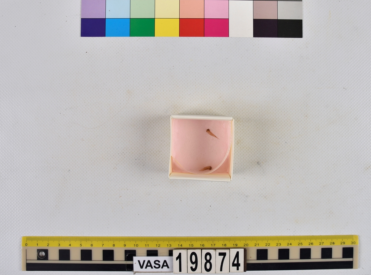 Ben från strömming (Clupea harengus membras).

606 st. kotor (vertebrae).

76 st. (39 sin+37 dx samt en del fragment) dentalia.

66 st. (29+37) hyomandibularia.

67 st. opercularia.

57 st. (29+28) maxillaria.

57 st. (30+27) articularia.

4 st. opisthotica.

54 st. quadrata.

52 st. (29+23) keratohyalia.

48 st. exoccipitalia.

47 st. (24+23) epihyalia.

39 st. (28+11) frontalia.

30 st. urostyli.

10 st. ectopterygoidea.

10 st. (7+3) supracleithralia ventr.

7 st. (4+3) supraleithralia dorsalia.

3 st. parasphenoidea.

2 st. orbitosphenoidea.

1 st. basihyale.

53 st. prootica.