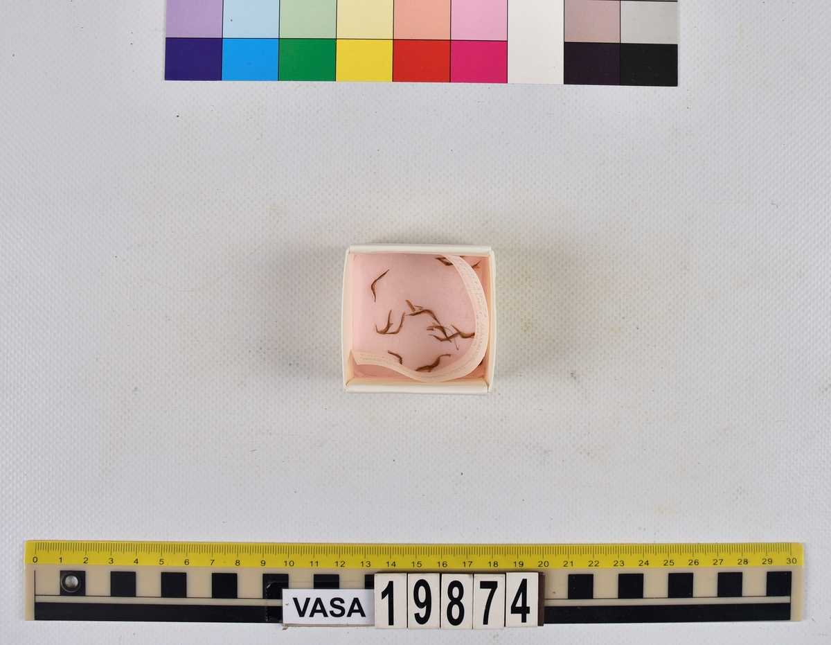 Ben från strömming (Clupea harengus membras).

606 st. kotor (vertebrae).

76 st. (39 sin+37 dx samt en del fragment) dentalia.

66 st. (29+37) hyomandibularia.

67 st. opercularia.

57 st. (29+28) maxillaria.

57 st. (30+27) articularia.

4 st. opisthotica.

54 st. quadrata.

52 st. (29+23) keratohyalia.

48 st. exoccipitalia.

47 st. (24+23) epihyalia.

39 st. (28+11) frontalia.

30 st. urostyli.

10 st. ectopterygoidea.

10 st. (7+3) supracleithralia ventr.

7 st. (4+3) supraleithralia dorsalia.

3 st. parasphenoidea.

2 st. orbitosphenoidea.

1 st. basihyale.

53 st. prootica.