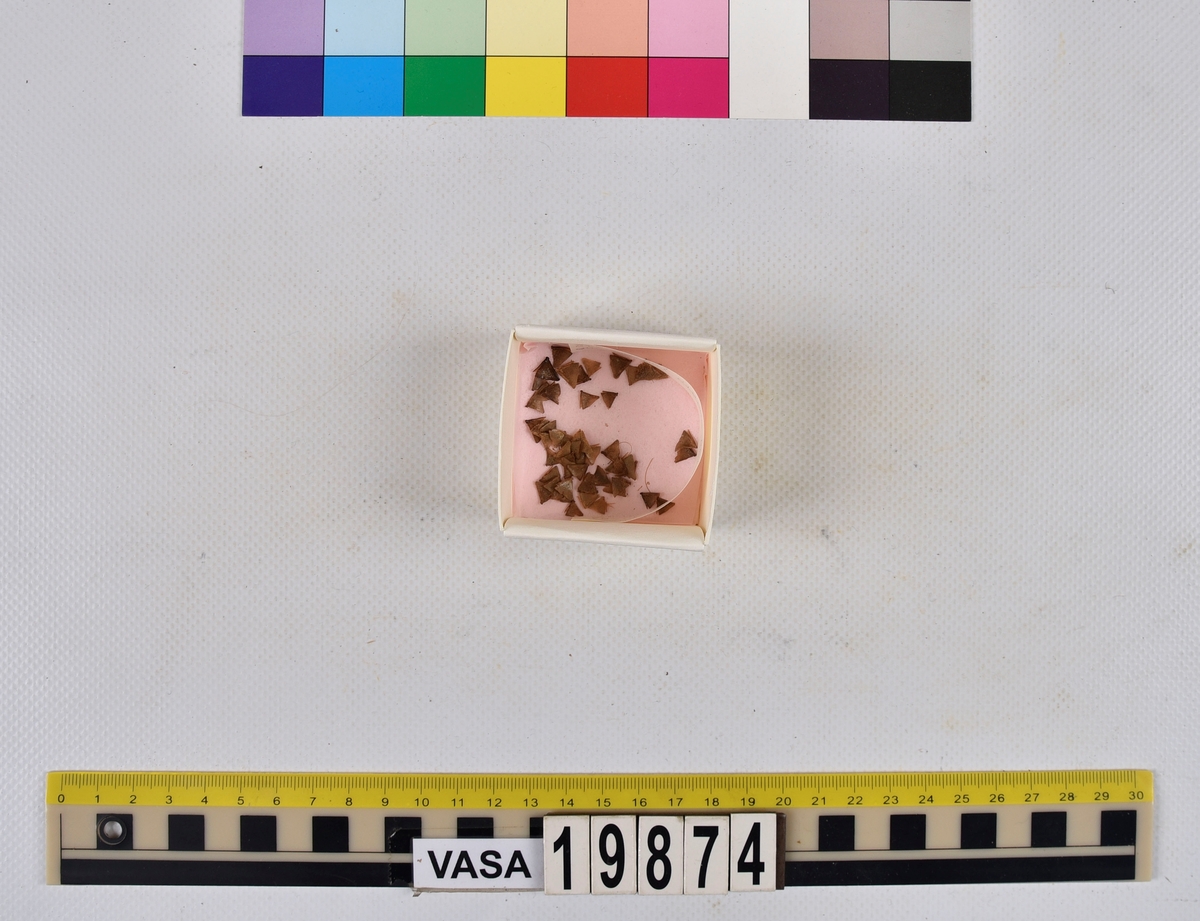 Ben från strömming (Clupea harengus membras).

606 st. kotor (vertebrae).

76 st. (39 sin+37 dx samt en del fragment) dentalia.

66 st. (29+37) hyomandibularia.

67 st. opercularia.

57 st. (29+28) maxillaria.

57 st. (30+27) articularia.

4 st. opisthotica.

54 st. quadrata.

52 st. (29+23) keratohyalia.

48 st. exoccipitalia.

47 st. (24+23) epihyalia.

39 st. (28+11) frontalia.

30 st. urostyli.

10 st. ectopterygoidea.

10 st. (7+3) supracleithralia ventr.

7 st. (4+3) supraleithralia dorsalia.

3 st. parasphenoidea.

2 st. orbitosphenoidea.

1 st. basihyale.

53 st. prootica.