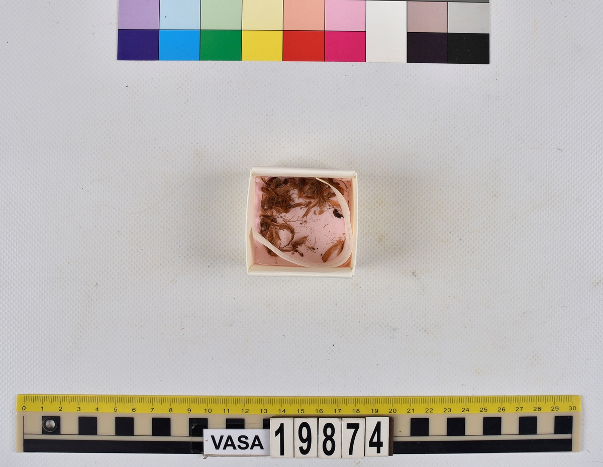 Ben från strömming (Clupea harengus membras).

606 st. kotor (vertebrae).

76 st. (39 sin+37 dx samt en del fragment) dentalia.

66 st. (29+37) hyomandibularia.

67 st. opercularia.

57 st. (29+28) maxillaria.

57 st. (30+27) articularia.

4 st. opisthotica.

54 st. quadrata.

52 st. (29+23) keratohyalia.

48 st. exoccipitalia.

47 st. (24+23) epihyalia.

39 st. (28+11) frontalia.

30 st. urostyli.

10 st. ectopterygoidea.

10 st. (7+3) supracleithralia ventr.

7 st. (4+3) supraleithralia dorsalia.

3 st. parasphenoidea.

2 st. orbitosphenoidea.

1 st. basihyale.

53 st. prootica.