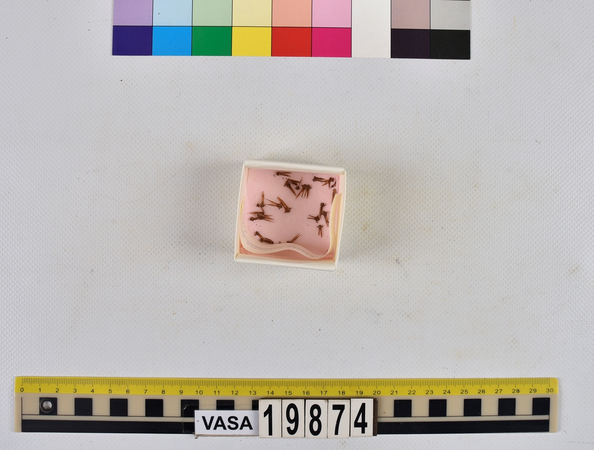Ben från strömming (Clupea harengus membras).

606 st. kotor (vertebrae).

76 st. (39 sin+37 dx samt en del fragment) dentalia.

66 st. (29+37) hyomandibularia.

67 st. opercularia.

57 st. (29+28) maxillaria.

57 st. (30+27) articularia.

4 st. opisthotica.

54 st. quadrata.

52 st. (29+23) keratohyalia.

48 st. exoccipitalia.

47 st. (24+23) epihyalia.

39 st. (28+11) frontalia.

30 st. urostyli.

10 st. ectopterygoidea.

10 st. (7+3) supracleithralia ventr.

7 st. (4+3) supraleithralia dorsalia.

3 st. parasphenoidea.

2 st. orbitosphenoidea.

1 st. basihyale.

53 st. prootica.