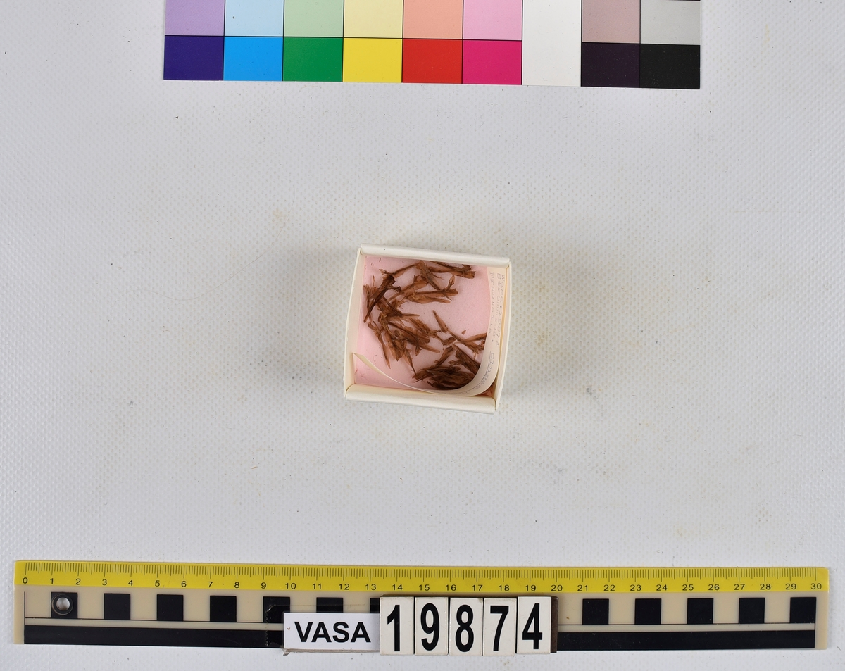 Ben från strömming (Clupea harengus membras).

606 st. kotor (vertebrae).

76 st. (39 sin+37 dx samt en del fragment) dentalia.

66 st. (29+37) hyomandibularia.

67 st. opercularia.

57 st. (29+28) maxillaria.

57 st. (30+27) articularia.

4 st. opisthotica.

54 st. quadrata.

52 st. (29+23) keratohyalia.

48 st. exoccipitalia.

47 st. (24+23) epihyalia.

39 st. (28+11) frontalia.

30 st. urostyli.

10 st. ectopterygoidea.

10 st. (7+3) supracleithralia ventr.

7 st. (4+3) supraleithralia dorsalia.

3 st. parasphenoidea.

2 st. orbitosphenoidea.

1 st. basihyale.

53 st. prootica.