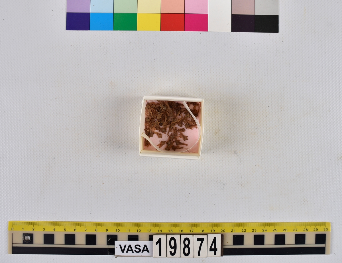 Ben från strömming (Clupea harengus membras).

606 st. kotor (vertebrae).

76 st. (39 sin+37 dx samt en del fragment) dentalia.

66 st. (29+37) hyomandibularia.

67 st. opercularia.

57 st. (29+28) maxillaria.

57 st. (30+27) articularia.

4 st. opisthotica.

54 st. quadrata.

52 st. (29+23) keratohyalia.

48 st. exoccipitalia.

47 st. (24+23) epihyalia.

39 st. (28+11) frontalia.

30 st. urostyli.

10 st. ectopterygoidea.

10 st. (7+3) supracleithralia ventr.

7 st. (4+3) supraleithralia dorsalia.

3 st. parasphenoidea.

2 st. orbitosphenoidea.

1 st. basihyale.

53 st. prootica.