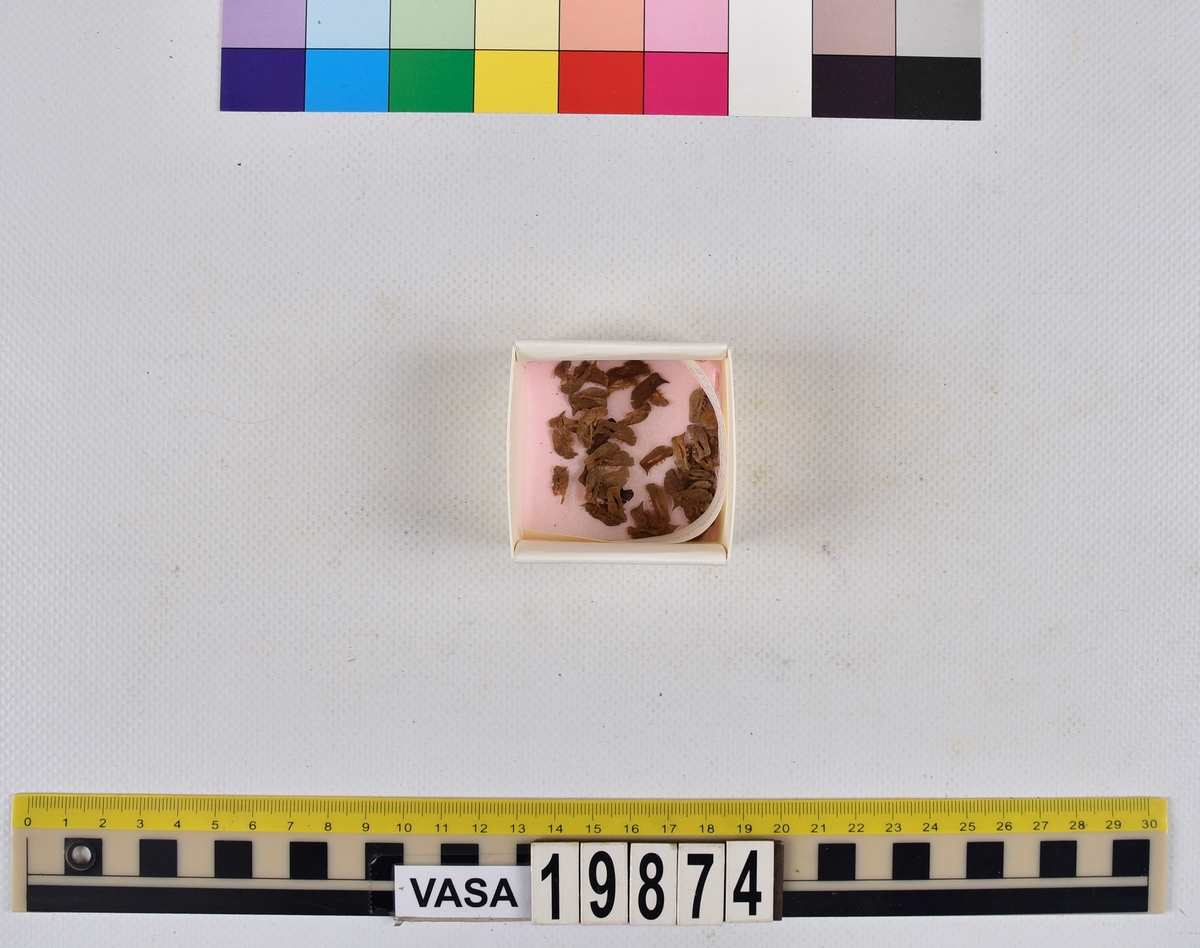 Ben från strömming (Clupea harengus membras).

606 st. kotor (vertebrae).

76 st. (39 sin+37 dx samt en del fragment) dentalia.

66 st. (29+37) hyomandibularia.

67 st. opercularia.

57 st. (29+28) maxillaria.

57 st. (30+27) articularia.

4 st. opisthotica.

54 st. quadrata.

52 st. (29+23) keratohyalia.

48 st. exoccipitalia.

47 st. (24+23) epihyalia.

39 st. (28+11) frontalia.

30 st. urostyli.

10 st. ectopterygoidea.

10 st. (7+3) supracleithralia ventr.

7 st. (4+3) supraleithralia dorsalia.

3 st. parasphenoidea.

2 st. orbitosphenoidea.

1 st. basihyale.

53 st. prootica.