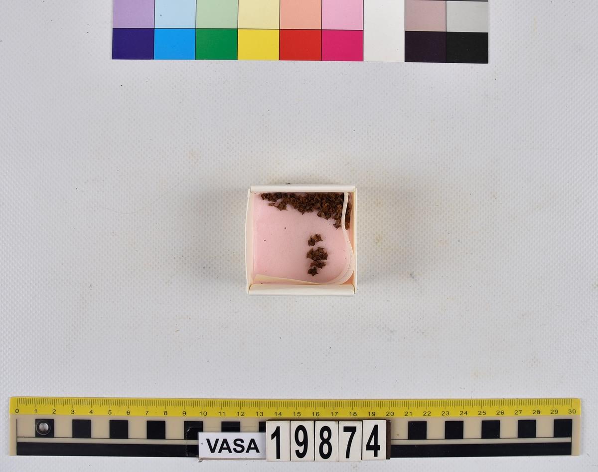 Ben från strömming (Clupea harengus membras).

606 st. kotor (vertebrae).

76 st. (39 sin+37 dx samt en del fragment) dentalia.

66 st. (29+37) hyomandibularia.

67 st. opercularia.

57 st. (29+28) maxillaria.

57 st. (30+27) articularia.

4 st. opisthotica.

54 st. quadrata.

52 st. (29+23) keratohyalia.

48 st. exoccipitalia.

47 st. (24+23) epihyalia.

39 st. (28+11) frontalia.

30 st. urostyli.

10 st. ectopterygoidea.

10 st. (7+3) supracleithralia ventr.

7 st. (4+3) supraleithralia dorsalia.

3 st. parasphenoidea.

2 st. orbitosphenoidea.

1 st. basihyale.

53 st. prootica.