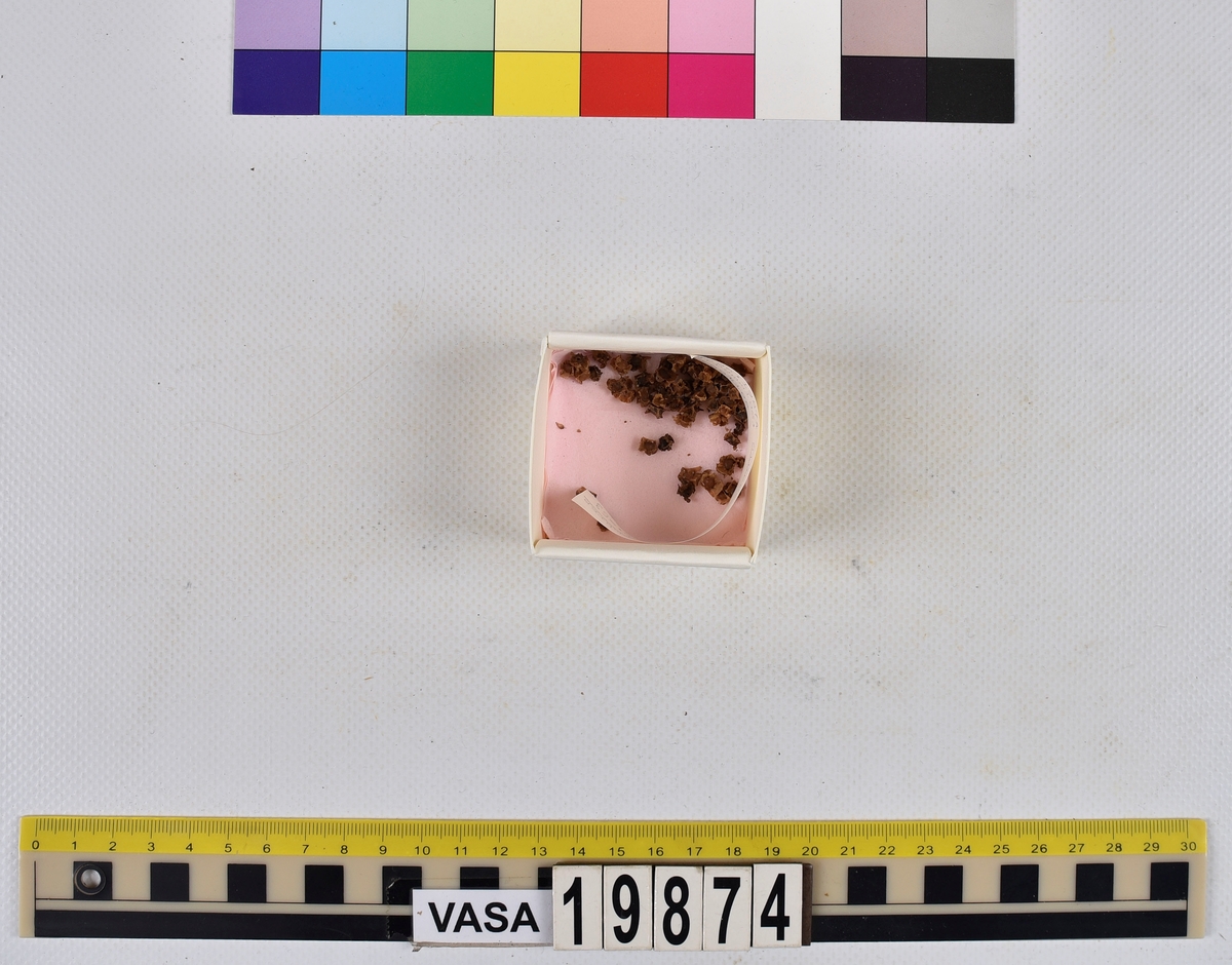 Ben från strömming (Clupea harengus membras).

606 st. kotor (vertebrae).

76 st. (39 sin+37 dx samt en del fragment) dentalia.

66 st. (29+37) hyomandibularia.

67 st. opercularia.

57 st. (29+28) maxillaria.

57 st. (30+27) articularia.

4 st. opisthotica.

54 st. quadrata.

52 st. (29+23) keratohyalia.

48 st. exoccipitalia.

47 st. (24+23) epihyalia.

39 st. (28+11) frontalia.

30 st. urostyli.

10 st. ectopterygoidea.

10 st. (7+3) supracleithralia ventr.

7 st. (4+3) supraleithralia dorsalia.

3 st. parasphenoidea.

2 st. orbitosphenoidea.

1 st. basihyale.

53 st. prootica.