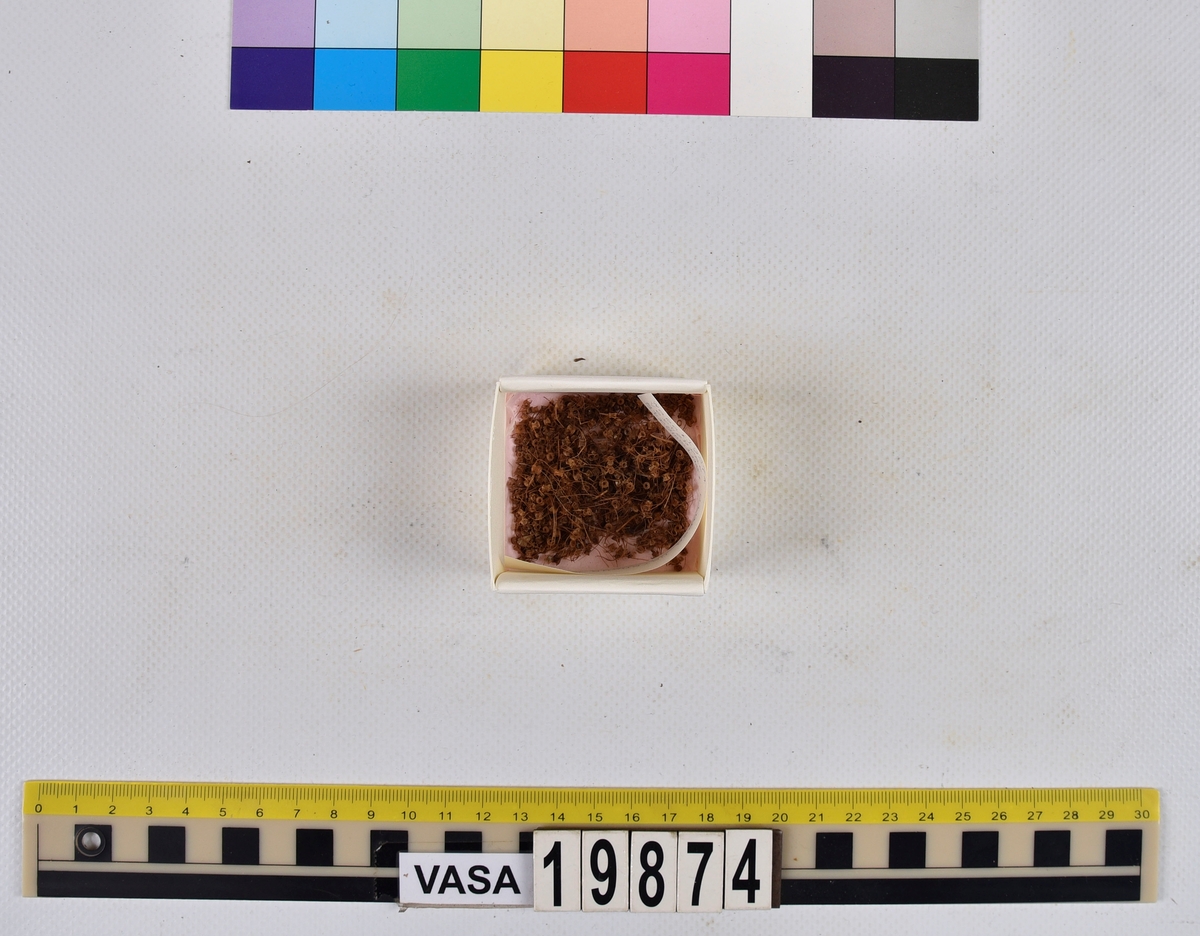 Ben från strömming (Clupea harengus membras).

606 st. kotor (vertebrae).

76 st. (39 sin+37 dx samt en del fragment) dentalia.

66 st. (29+37) hyomandibularia.

67 st. opercularia.

57 st. (29+28) maxillaria.

57 st. (30+27) articularia.

4 st. opisthotica.

54 st. quadrata.

52 st. (29+23) keratohyalia.

48 st. exoccipitalia.

47 st. (24+23) epihyalia.

39 st. (28+11) frontalia.

30 st. urostyli.

10 st. ectopterygoidea.

10 st. (7+3) supracleithralia ventr.

7 st. (4+3) supraleithralia dorsalia.

3 st. parasphenoidea.

2 st. orbitosphenoidea.

1 st. basihyale.

53 st. prootica.