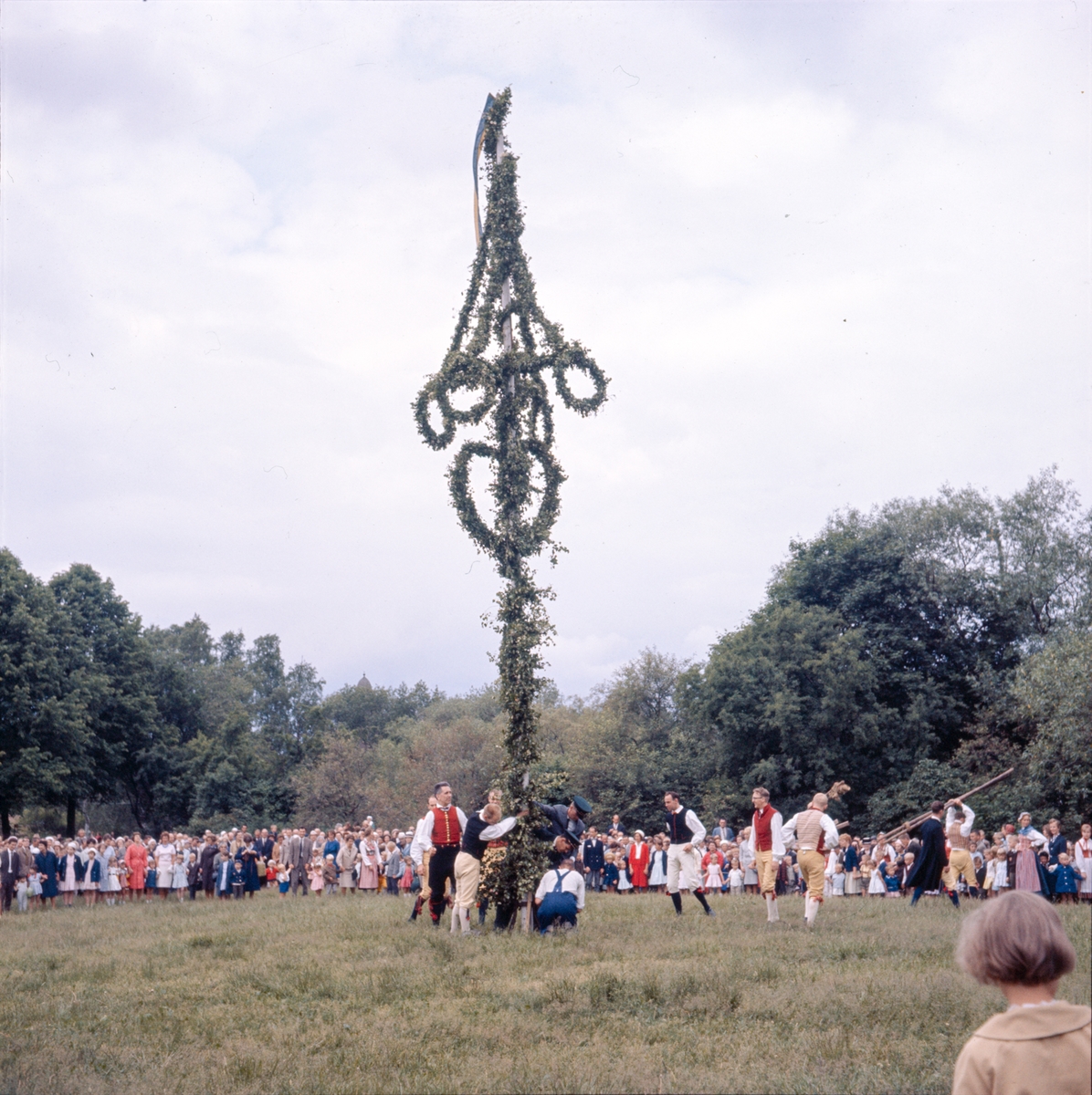 Majstången reses vid midsommarfirandet på Tingsvallen.