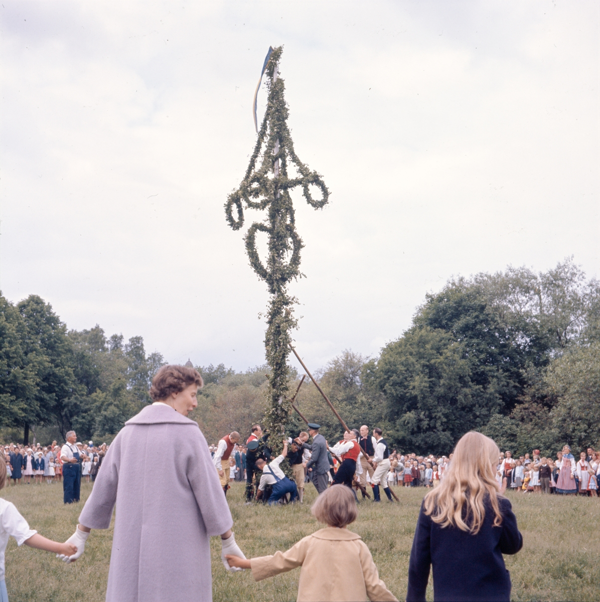 Majstången reses vid midsommarfirandet på Tingsvallen.