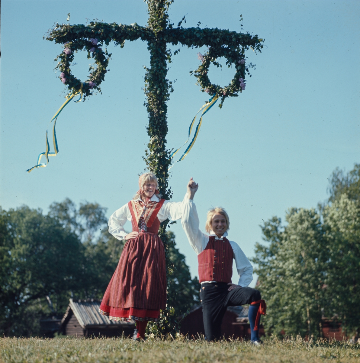 Majstången reses vid midsommarfirandet på Tingsvallen.