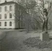 Bibliotek och konst i kvarter Valnötsträdet i Kalmar.