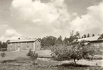 Gårdsmiljö på Vinö. Boningshuset, till vänster i bild, är en tvåvånings parstuga, tillika ryggåsstuga. Mellan det och ekonomibyggnaderna ser vi några fruktträd.