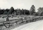 Torpbebyggelse och vägmiljö strax norr om Södra Skärhults by.