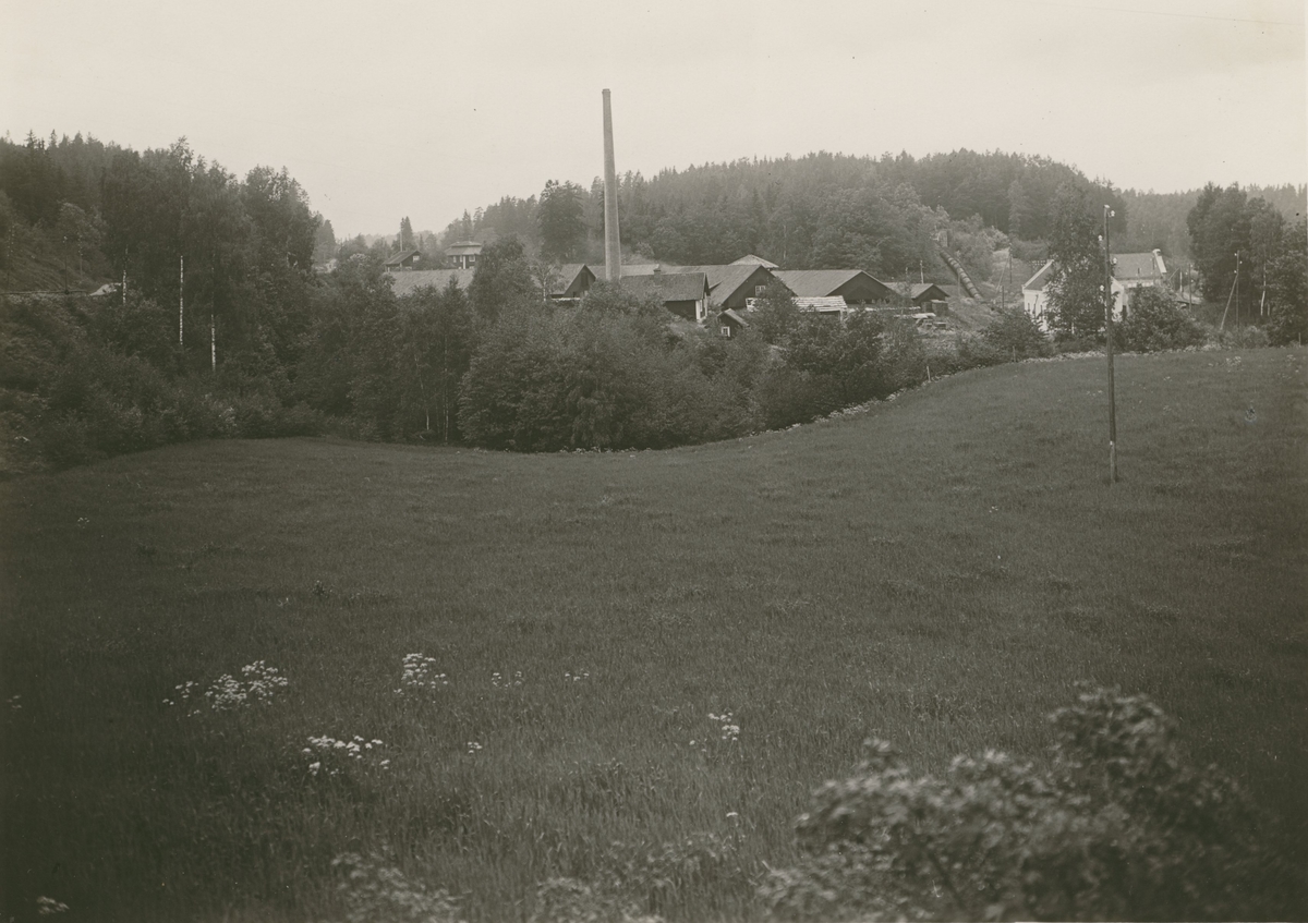 Forsaströms bruk. Till höger det nya kraftverket. Till vänster. längst in skymtar herrgården. I mitten ligga de mestadels nya verkbyggnaderna grupperade kring ån.