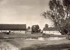 Ladugården på Värnanäs. Till vänster stallet, till höger magasinet. I förgrunden ankdammen.
