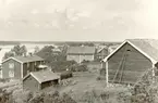 Byn Vinö sedd mot Klintemåla, som synes i bakgrunden. I förgrunden till vänster Thore Johanssons boningshus av parstugetyp. I mitten Richard Wigséns hus.
