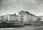 Riksbyggen, bostäder i Kalmar. 14 september 1951.